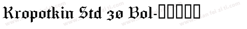 Kropotkin Std 30 Bol字体转换